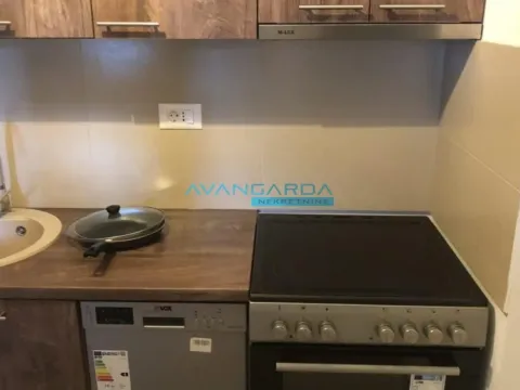 Izdavanje, stan, 46m², Dorćol Sve Podlokacije, Beograd - image 8