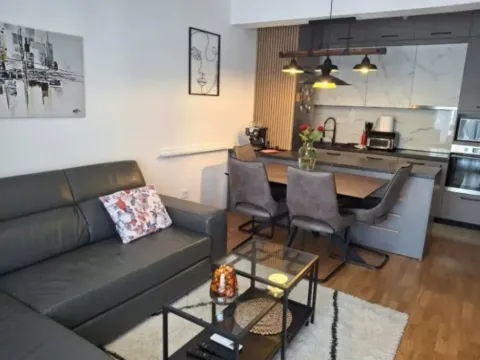 Izdavanje, jednosoban stan, 48m², Stara Varoš, Podgorica