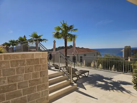Spacious terrace with a sea view and palm trees. - image 2