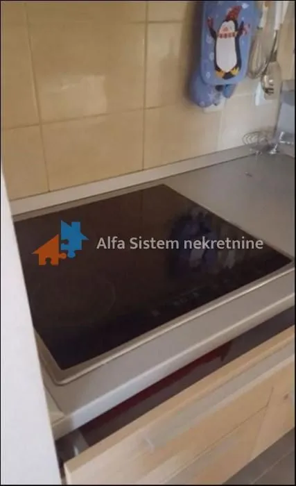 Rent, four bedroom apartment, 105m², Novi Beograd Blok 67, Novi Beograd Sve Podlokacije