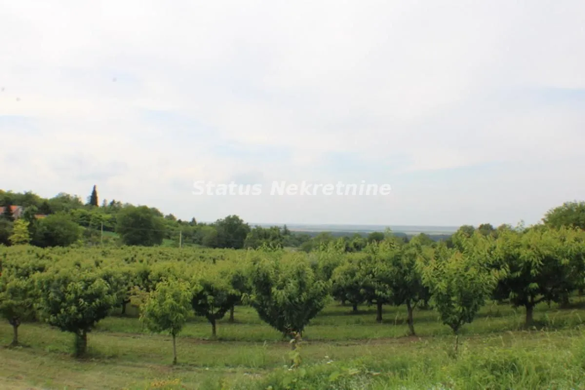 Prodaja, plac, 114m², Krčedin, Inđija