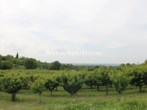 Prodaja, plac, 114m², Krčedin, Inđija - image 6