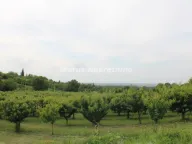 Sale, land lot, 114m², Krčedin, Inđija - image 6