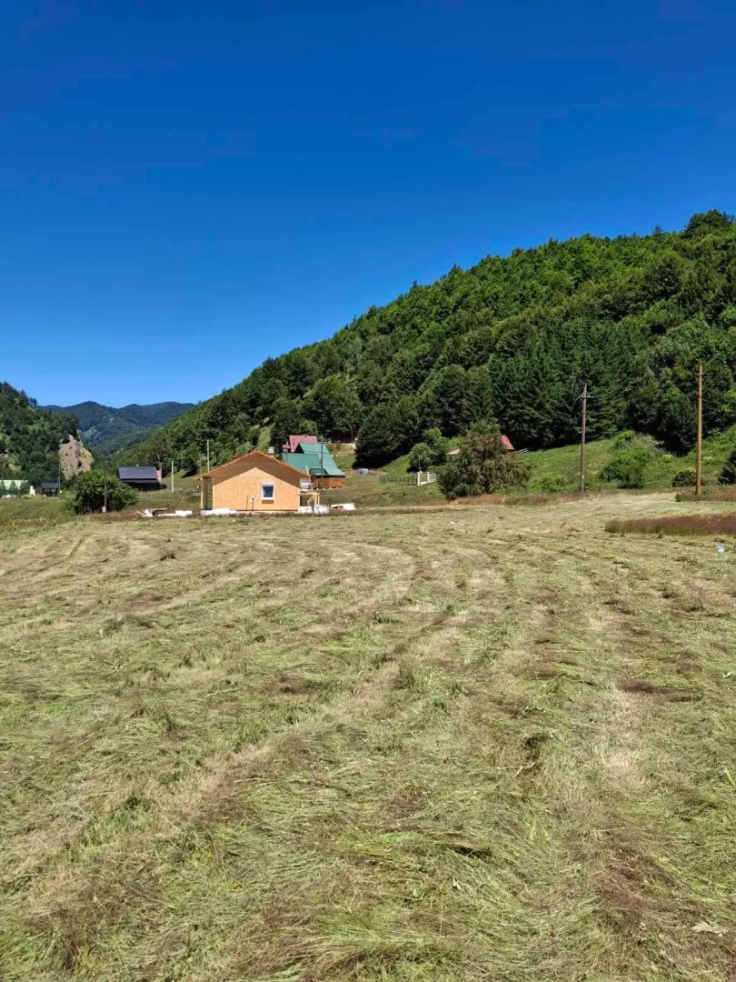 Pogled na plac i drvenu kuću u prirodi okruženoj šumom.