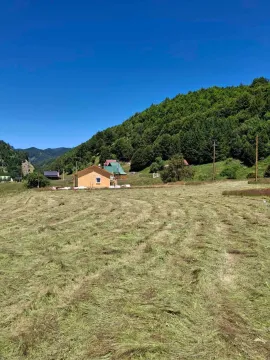 Pogled na plac i drvenu kuću u prirodi okruženoj šumom. - image 4