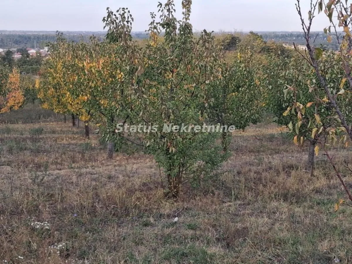 Prodaja, plac, 7500m², Beočin, Srbija