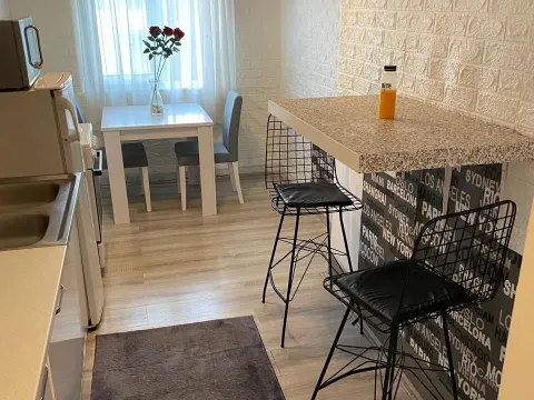 Izdavanje, jednosoban stan, 53m², Preko Morače, Podgorica - image 3