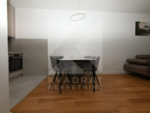 Izdavanje, jednosoban stan, 49m², Central Point, Podgorica - image 5
