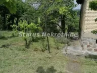 Prodaja, kuća, 49m², Beočin, Srbija - image 4