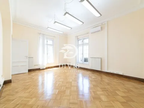 Izdavanje, poslovni prostor, 255m², Vračar Centar, Vračar Sve Podlokacije - image 9