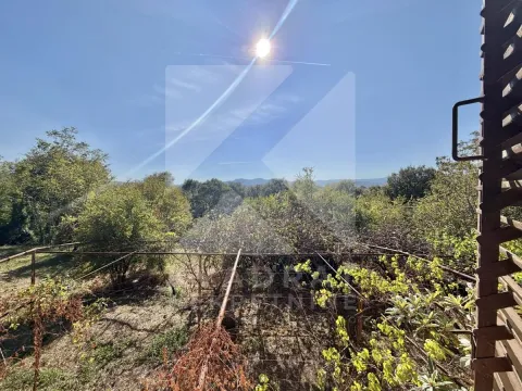 Pogled na dvorište i zelenilo sa terase. - image 15