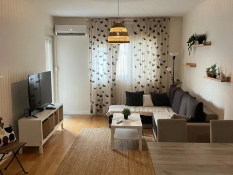 Izdavanje, jednosoban stan, 49m², Central Point, Podgorica - image 2