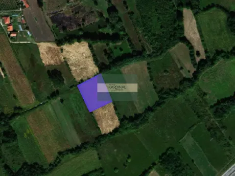 Prodaja, plac, 26939m², Kragujevac, Srbija - image 8