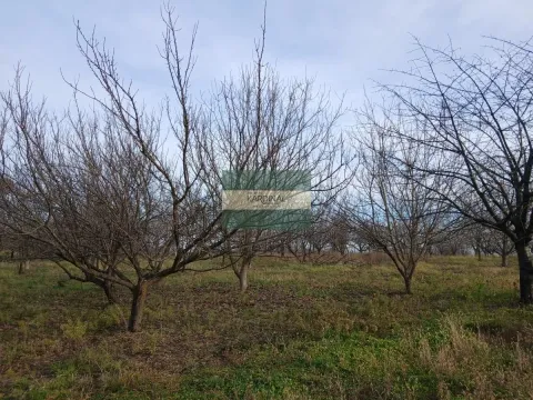 Sale, office space, 723m², Veliki Popović, Despotovac - image 18