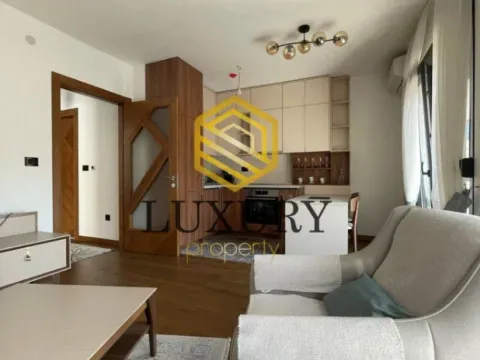 Izdavanje, jednosoban stan, 51m², Ostalo, Podgorica - image 7