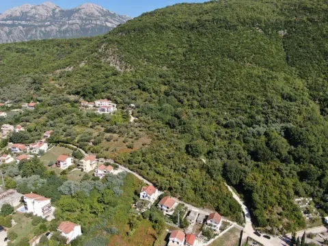 Prodaja, plac, 14000m², Kumbor, Herceg Novi - image 2