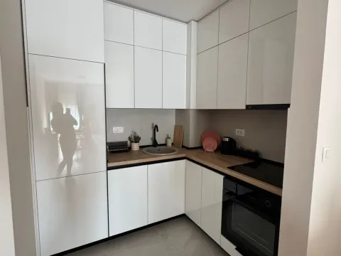 Izdavanje, jednosoban stan, 45m², Central Point, Podgorica - image 5