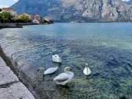 Sale, land lot, 677m², Prčanj, Kotor - image 8