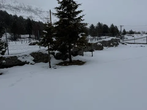 Prodaja, kuća, 100m², Kuči, Podgorica - image 3