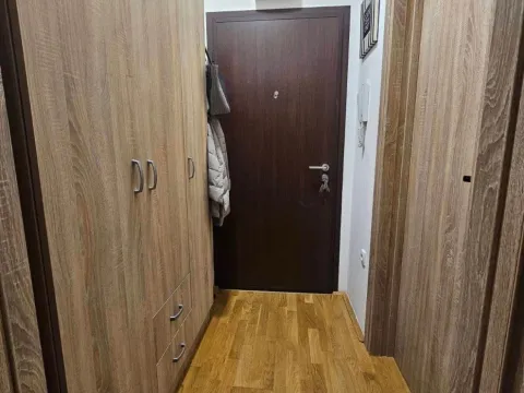Rent, studio apartment, 27m², Ljubović, Podgorica - image 4