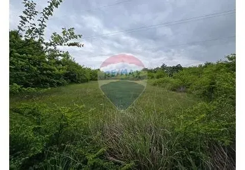 Prodaja, plac, 9173m², Stanjevića Rupa, Podgorica - image 7