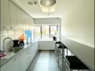 Izdavanje, poslovni prostor, 325m², Retenzija, Beograd - image 7