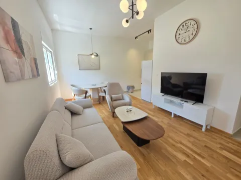 Rent, one bedroom apartment, 45m², Zabjelo, Podgorica - image 2