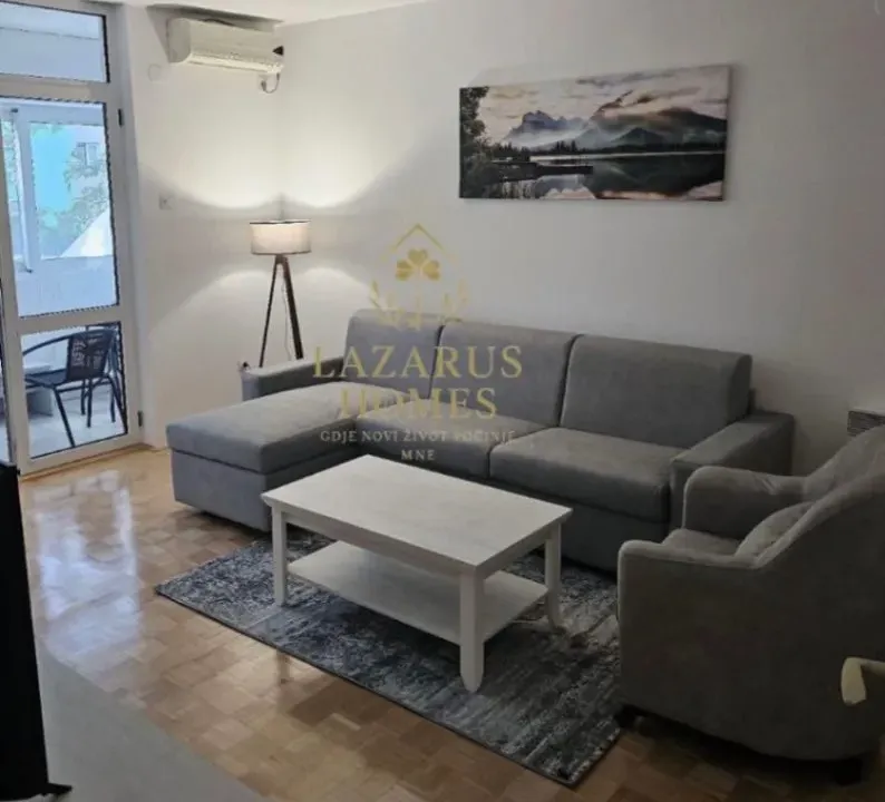 Rent, one bedroom apartment, 50m², Stari Aerodrom, Podgorica
