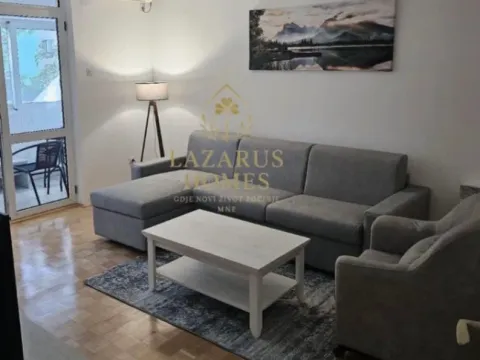 Rent, one bedroom apartment, 50m², Stari Aerodrom, Podgorica