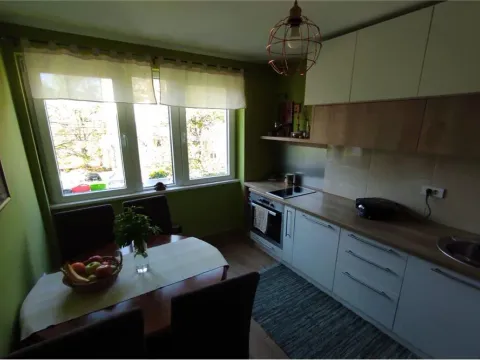 Prodaja, jednosoban stan, 48m², Niš, Srbija - image 4