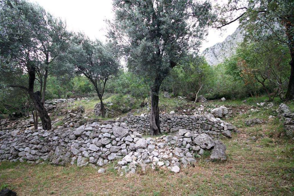 Prodaja, plac, 2650m², Budva, Crna Gora