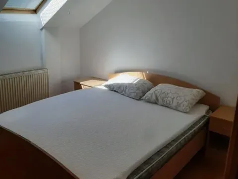 Izdavanje, dvosoban stan, 60m², Socijalno, Novi Sad Sve Podlokacije - image 7