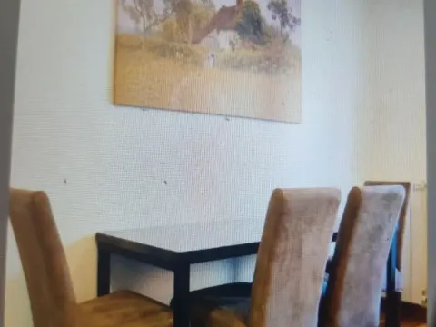 Izdavanje, dvosoban stan, 55m², Centar Sve Podlokacije, Beograd - image 4