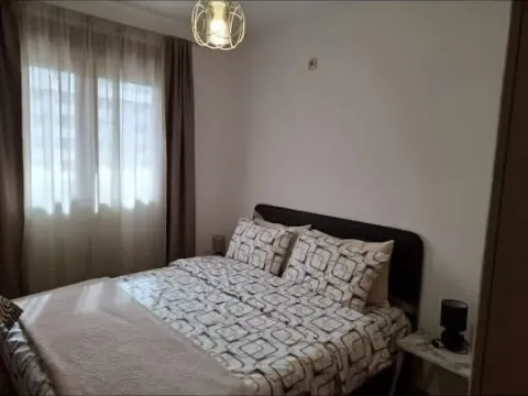 Izdavanje, jednosoban stan, 45m², Stari Aerodrom, Podgorica - image 4