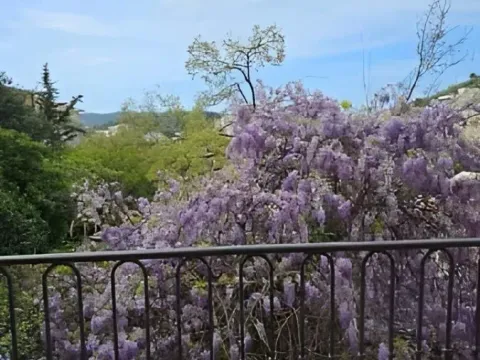 Sale, two bedroom apartment, 71m², Bečići, Budva - image 11