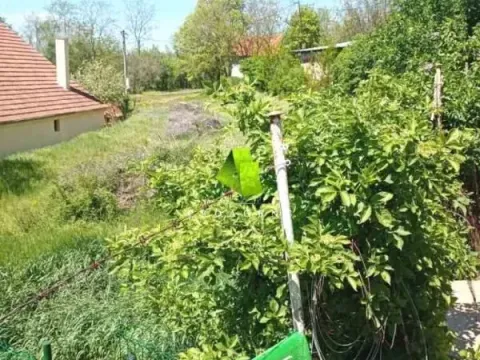 Prodaja, kuća, 45m², Niška Banja, Niš - image 6