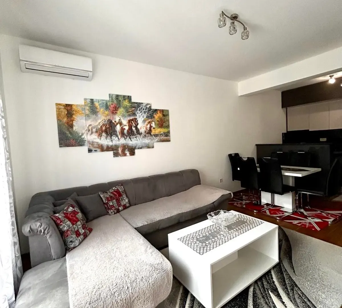 Rent, one bedroom apartment, 45m², Zabjelo, Podgorica