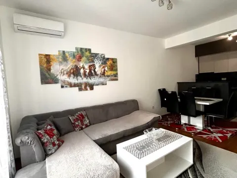 Rent, one bedroom apartment, 45m², Zabjelo, Podgorica - image 6