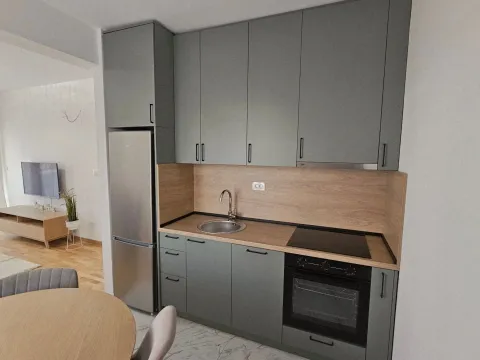 Izdavanje, jednosoban stan, 47m², Zagorič, Podgorica - image 2