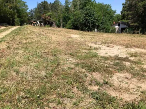 Sale, land lot, 1300m², Usije, Golubac - image 4