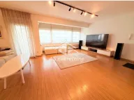 Izdavanje, trosoban stan, 100m², Vračar Hram, Vračar Sve Podlokacije - image 2