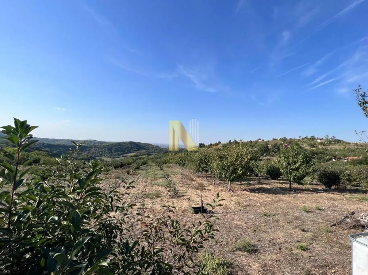 Prodaja, plac, 209m², Ledinci, Petrovaradin