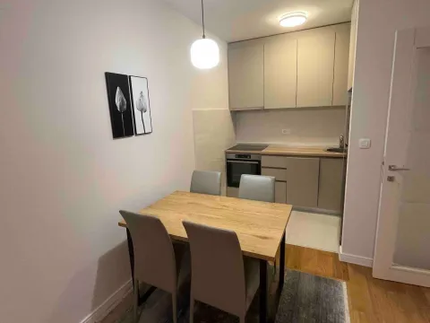 Rent, one bedroom apartment, 48m², Central Point, Podgorica - image 2