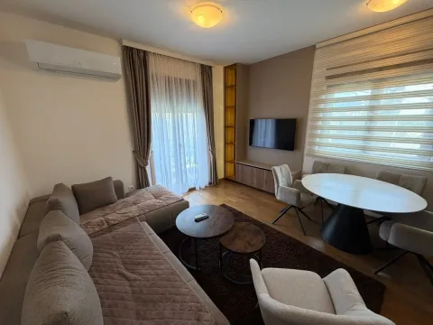 Rent, apartment, 43m², Vezirov Most, Podgorica - image 9