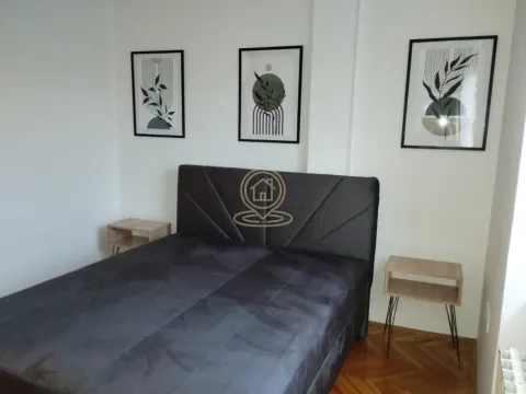 Izdavanje, dvosoban stan, 45m², Centar, Novi Sad - image 10