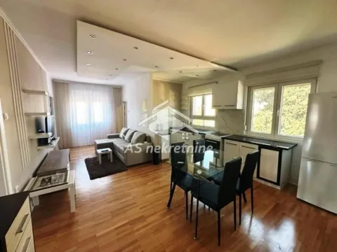 Rent, apartment, 61m², Južni Bulevar, Vračar Sve Podlokacije - image 3