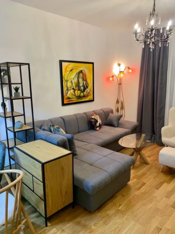 Rent, one bedroom apartment, 46m², Zabjelo, Podgorica