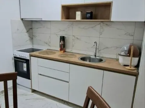 Izdavanje, jednosoban stan, 47m², Zagorič, Podgorica - image 3