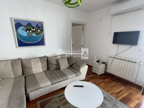 Izdavanje, dvosoban stan, 40m², Vračar Sve Podlokacije, Beograd - image 4