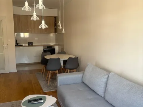 Izdavanje, jednosoban stan, 50m², Central Point, Podgorica - image 9